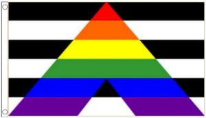 Gay Straight Alliance Flag (Ally) 3'x5'
