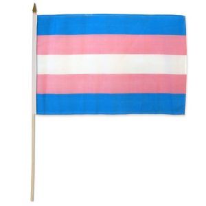 Transgender Stick Flag (12" X 18")