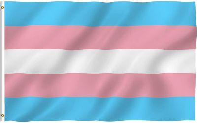 Transgender Flag (3' X 5')